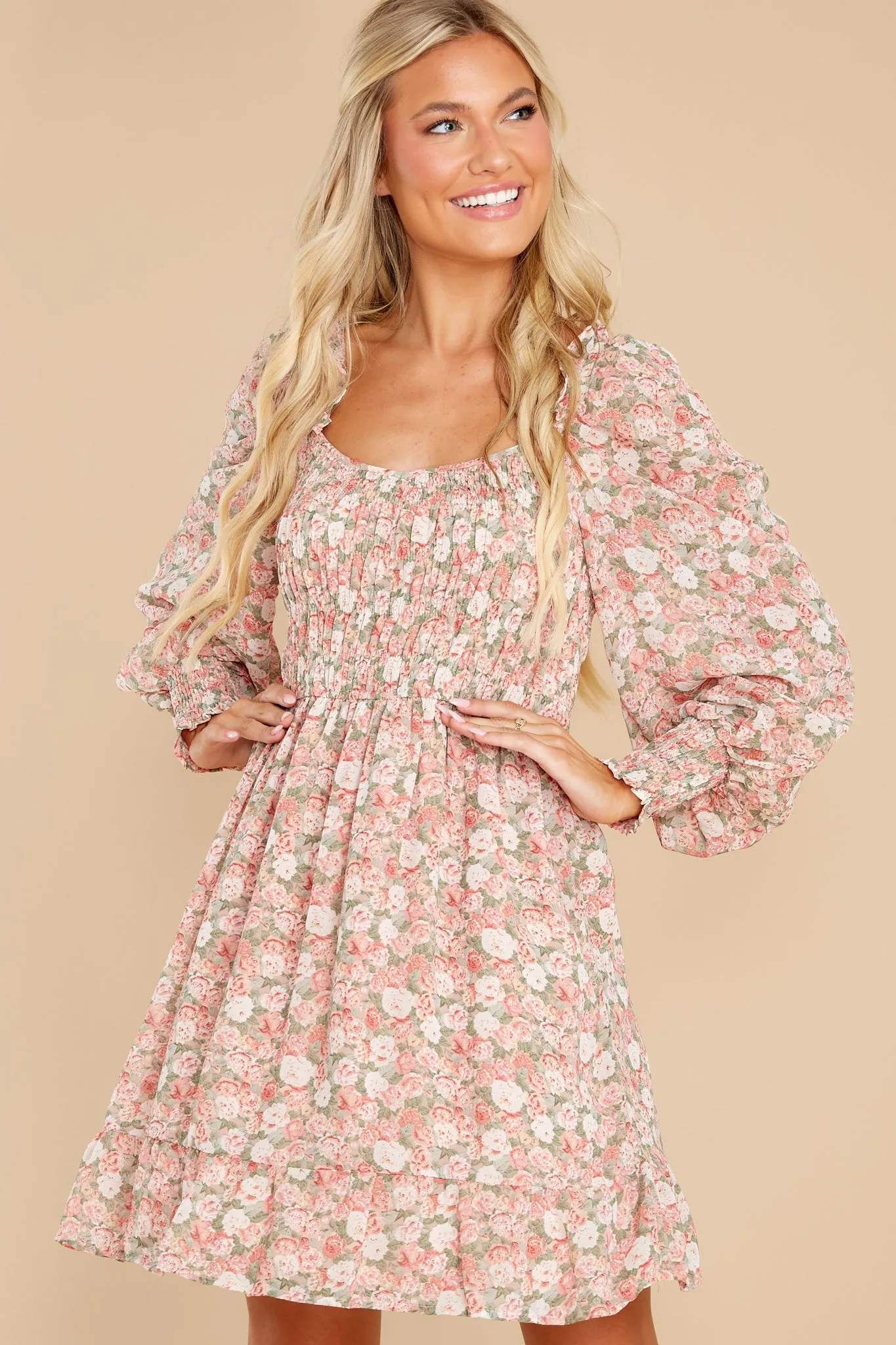 Among The Roses Blush Multi Floral Print Dress