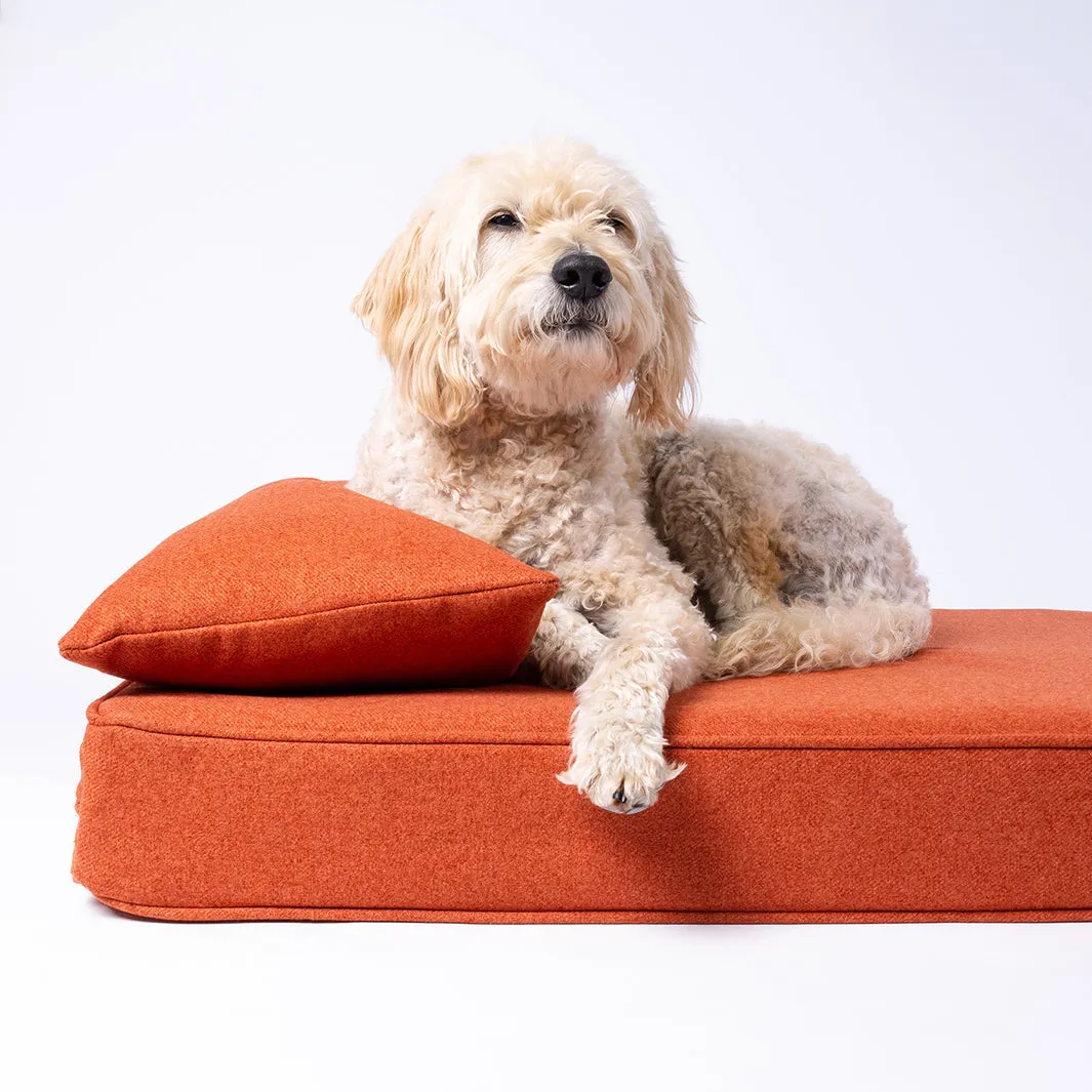 Anti-Microbial Memory Foam Dog Bed Mattress in Faroe