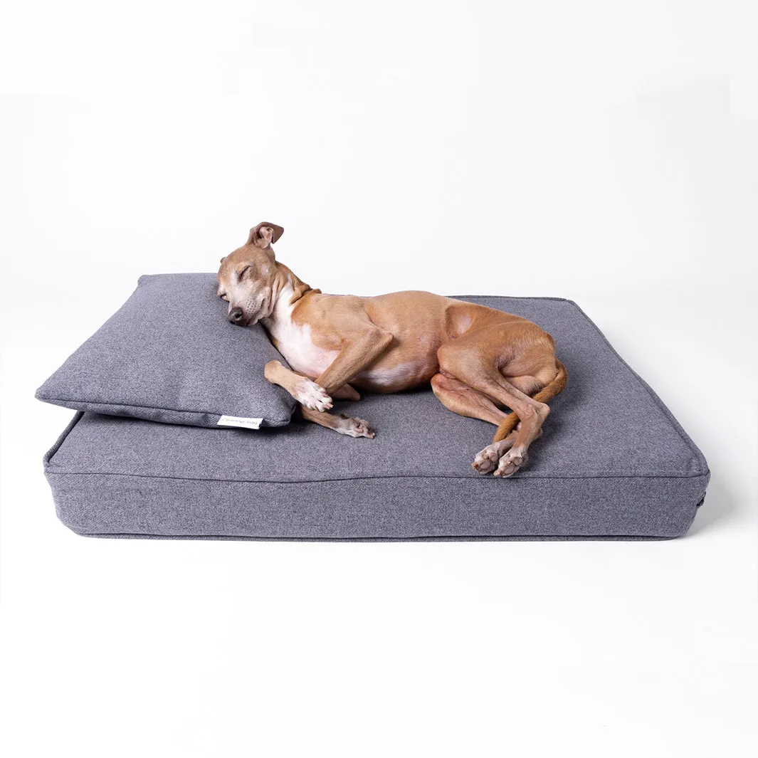 Anti-Microbial Memory Foam Dog Bed Mattress in Faroe