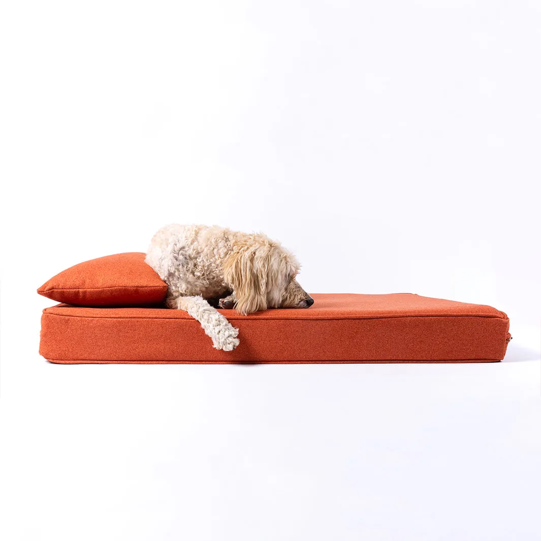 Anti-Microbial Memory Foam Dog Bed Mattress in Faroe