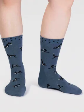 chai bamboo yoga cats socks