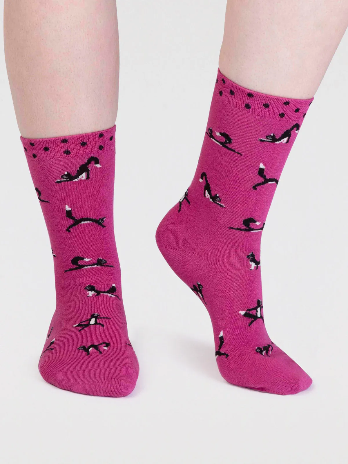 chai bamboo yoga cats socks