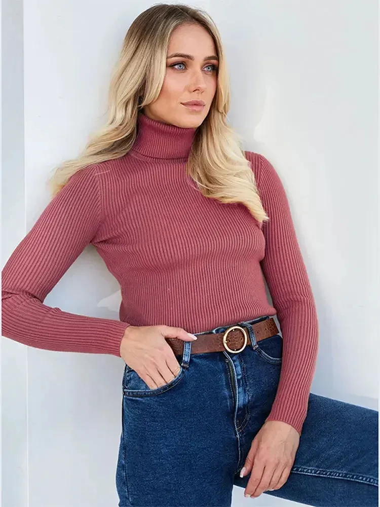 Flytonn-Christmas Thanksgiving Gift New Year's Eve Casual Outfits Elegant Solid Turtleneck Women Thin Sweater Chic Slim Long Sleeve Ribbed Knitting Pullover 2024 Autumn Lady Basic Knitwear