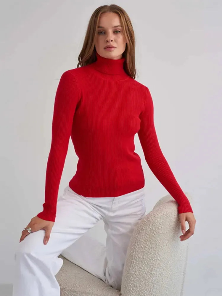 Flytonn-Christmas Thanksgiving Gift New Year's Eve Casual Outfits Elegant Solid Turtleneck Women Thin Sweater Chic Slim Long Sleeve Ribbed Knitting Pullover 2024 Autumn Lady Basic Knitwear