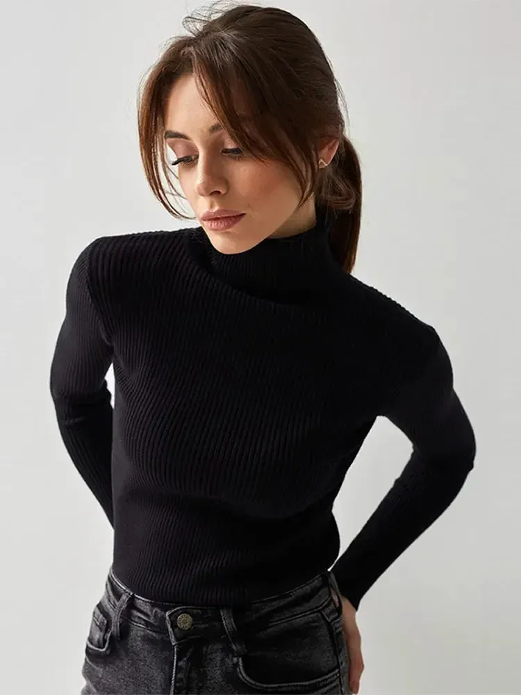 Flytonn-Christmas Thanksgiving Gift New Year's Eve Casual Outfits Elegant Solid Turtleneck Women Thin Sweater Chic Slim Long Sleeve Ribbed Knitting Pullover 2024 Autumn Lady Basic Knitwear