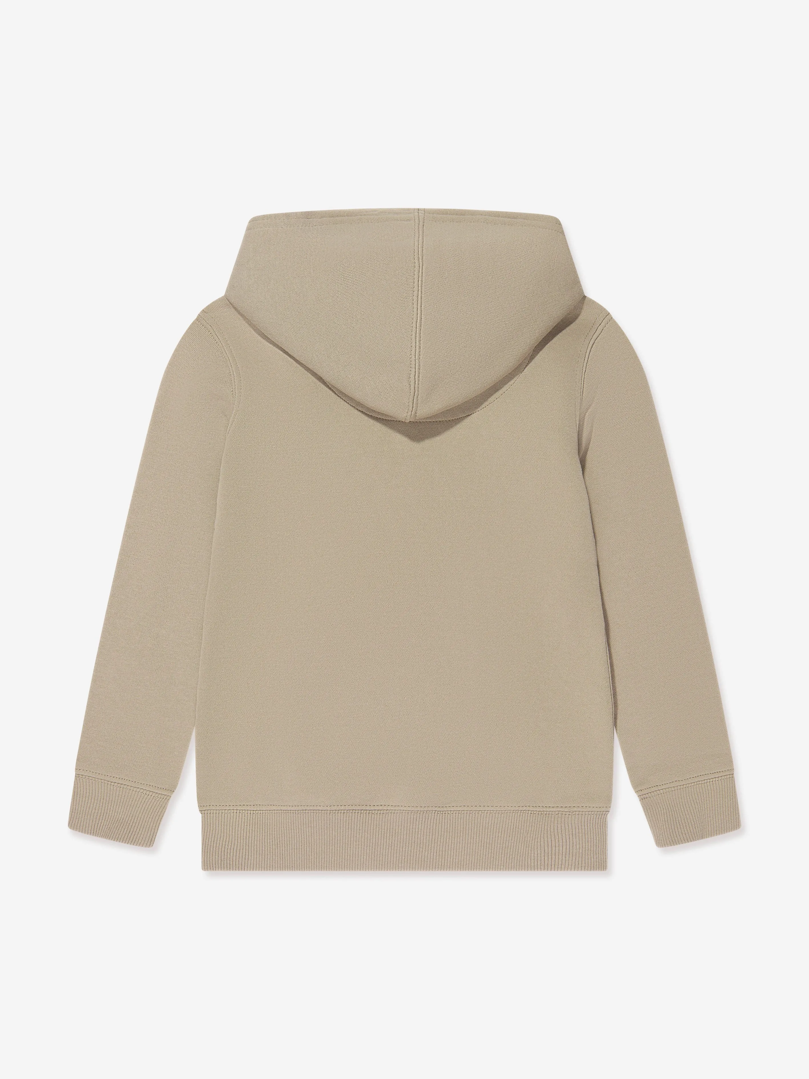 Levi's Boys Box Tab Pullover Hoodie in Beige