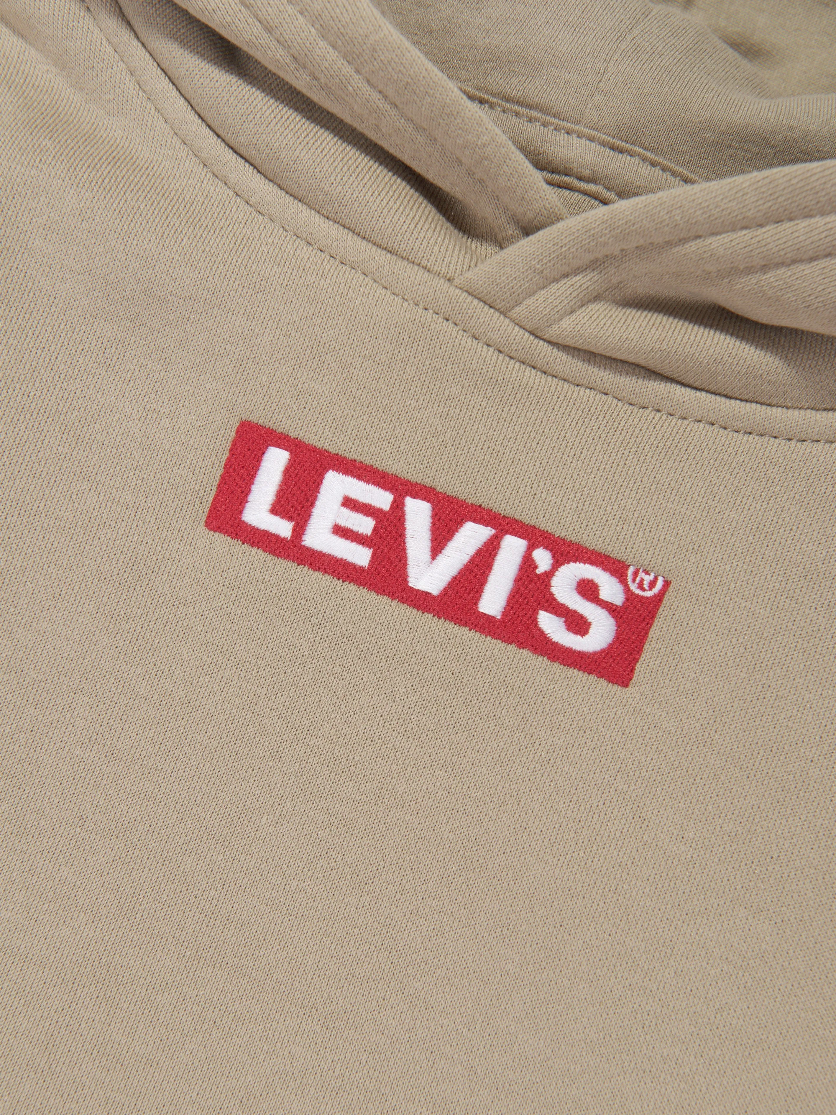 Levi's Boys Box Tab Pullover Hoodie in Beige