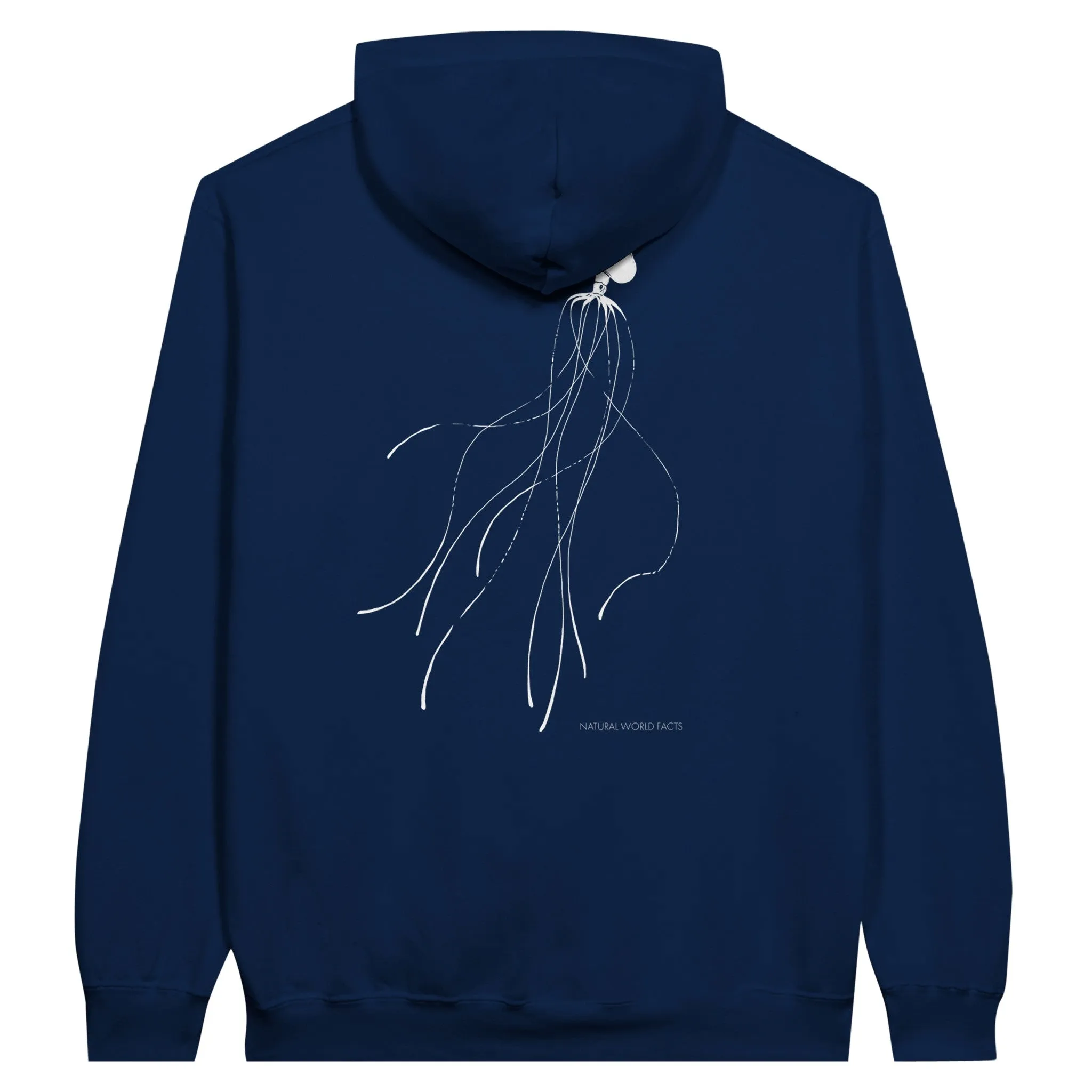 Magnapinna Pullover Hoodie