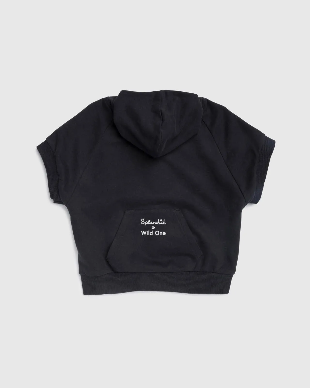 Splendid x Wild One Dog Hoodie