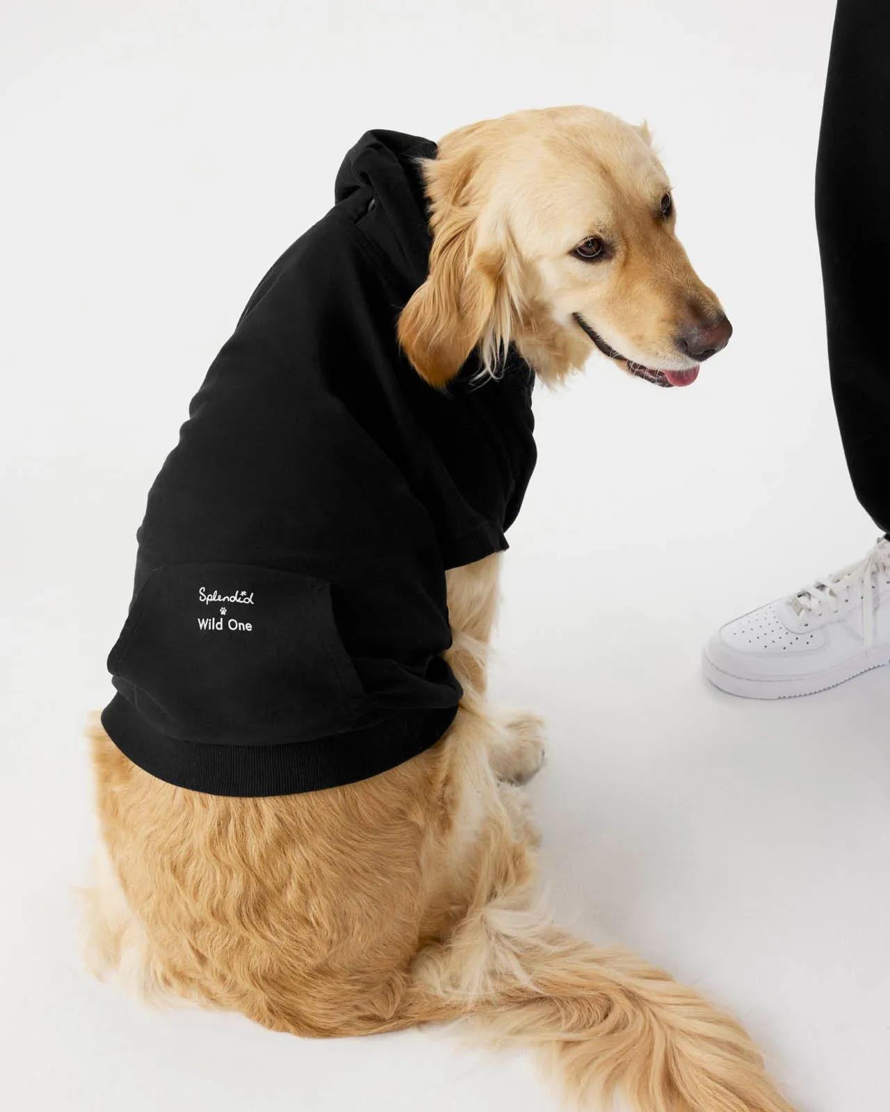 Splendid x Wild One Dog Hoodie